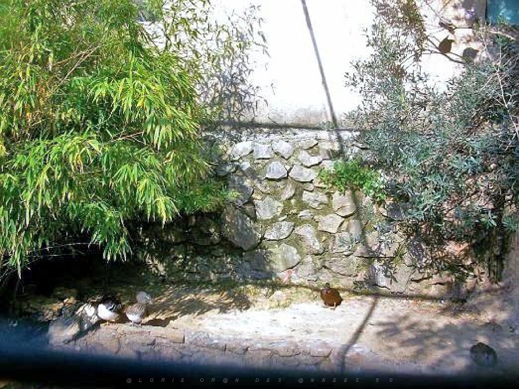 183 D21 SANARY SUR MER 1_000039.jpg